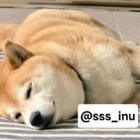 幸せいっぱいの麦くんでした
