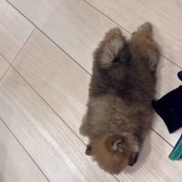 いい夢を見てそう♪