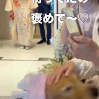 あちこちでごあいさつ