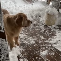 明け方、窓の外は吹雪