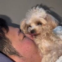 パパのことが大好き