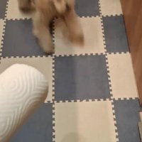 荒ぶる姿にクスッ♪