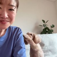 飼い主をつつく小型犬