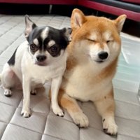 素敵な日常