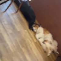 開店前はのんびり