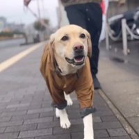 お散歩に出発したらルンルン♪