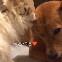 微笑ましい一幕も