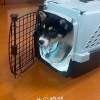 愛され力にホッコリ