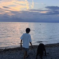夕暮れの浜辺を並んで歩く子どもと犬