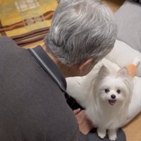ニパッ