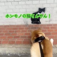 「絶対ホンモノ！」