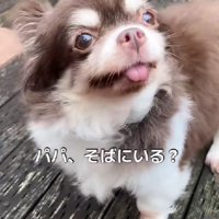 幸せな笑顔に感動…