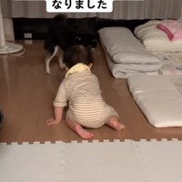 ぶつかりそうになるふたり