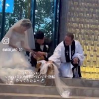 リングを渡せたよ♡