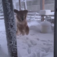 強い風が吹いたら…