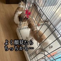 近くにきてお顔を確認