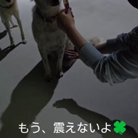 おやつを見ておすわりをする黒い犬