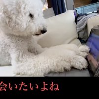 大好きなお姉ちゃん…