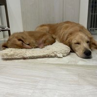 一緒にお昼寝♡