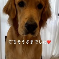 完食した暖くん