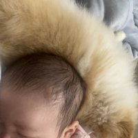 赤ちゃんに添い寝する犬