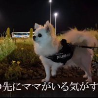 ママの声だと確信