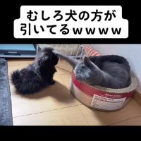 愛が止まらない♡