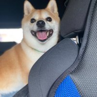 ニパッと笑顔に♡