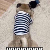 爆笑するパパ
