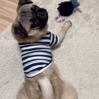 目をつぶるうめちゃん