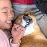 ウトウト…