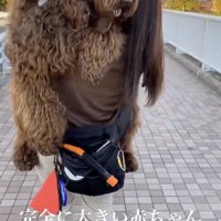 大きすぎる赤ちゃん…？