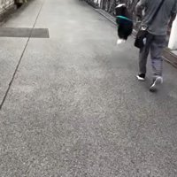 おじさんとお散歩中のルナちゃん4