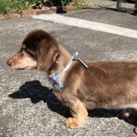 思い出もいっぱい