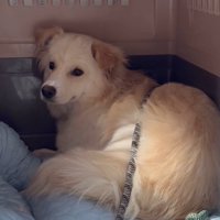 ぼーちゃんの変化2