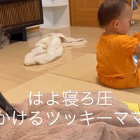 「そろそろ寝なさい」とじーっ