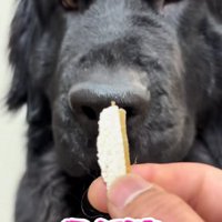 詰めが甘かった