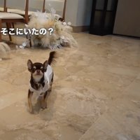 ゲスト席のお友達を発見