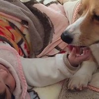 相思相愛になったふたり