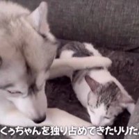 くぅちゃんを離さないりりたん7