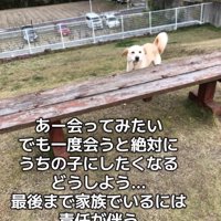 会いたいと思う投稿主さん