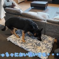 「やだ～、パパの匂いついちゃった…」