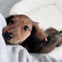 お迎え
