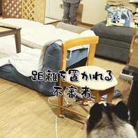 辛辣な結果に爆笑♪