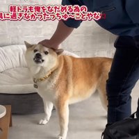 「嘘つくな！！」