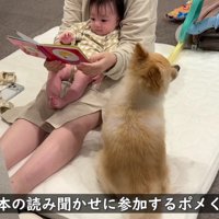 絵本の読み聞かせに参加