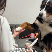 トレーニングするお姉ちゃん