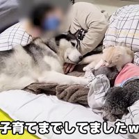 幸せ溢れる光景♡