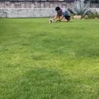 ずっと一緒に暮らしていたかのよう