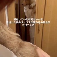 帰っちゃった…